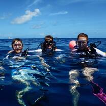 Sea Turtle & Reef Conservation in Cayman Islands