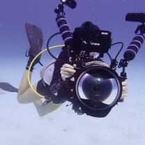Underwater Photography & Reef Conservation in Cayman Islands