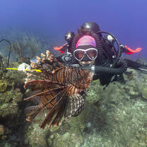 Sea Turtle Volunteer in Cayman Islands