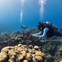 Marine Volunteer Abroad