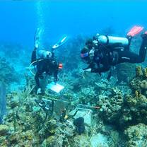 Marine Conservation Projects