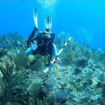 Sea Turtle & Reef Conservation in Cayman Islands