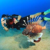 Underwater Photography & Reef Conservation in Cayman Islands