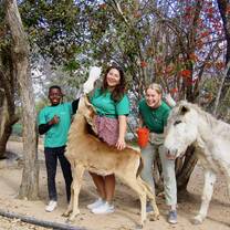 Children and volunteers feeding a sable antelope. 