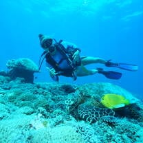 Dive with Turtle