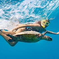 Underwater Photography & Reef Conservation in Cayman Islands