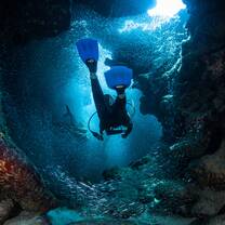 Sea Turtle & Reef Conservation in Cayman Islands