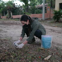 Fieldwork with the Black-&-Gold Howlers in the city of Pilar