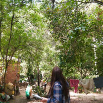 Fieldwork with the Black-&-Gold Howlers in the city of Pilar