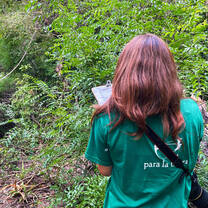 Fieldwork with the Black-&-Gold Howlers in the forests around Pilar