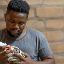 Orphan feeding