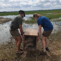 Wildlife release