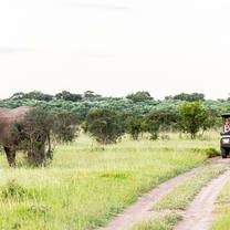 Game drives with elephants while on a Bushwise course
