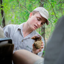 Students learn about all kinds of animals on a Bushwise Nature Enthusiast online course.