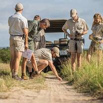 Students looking at tracks in the sand, following wild animals as part of their training