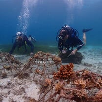 As part of our biodiversity programme, we install and monitor reef structure with in partnership with local fisherman