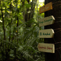 Our network of trails.