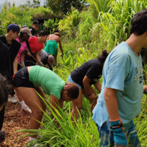 students working on a farm outside 