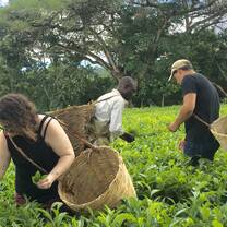 Uganda adventures 