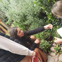 Herbal Medicine