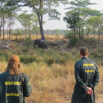 Follow the Release Herd into the Kafue National Park on their early morning walk
