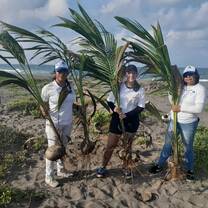 Reforestation campaign