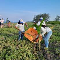 Reforestation campaign