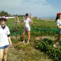 Construction of a turtlepen for in situ nests