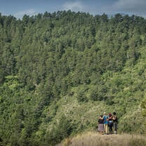 Students looking out over hillside