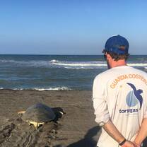 Daily patrolling of beaches in search of sea turtles that need aid