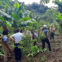 Environmental Volunteering in Costa Rica