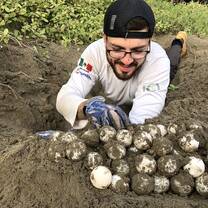 Recollection of a nest found in a danger zone.