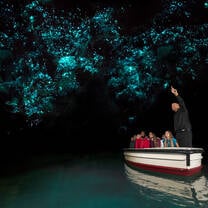 Waitomo Glow Worm