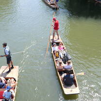 punting