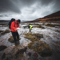 Intertidal Diversity in Gufufjörður in the Westford's