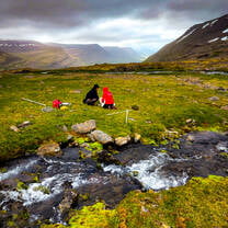 Freshwater ecology in Dýrafjörður in the Westford's