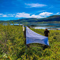 Terrestrial Ecology in Þorskafjörður in the Westford's