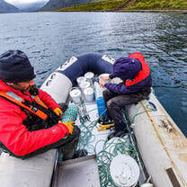 Marine Ecology in Álftafjörður in the Westford's