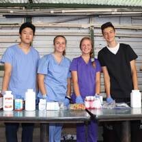Learning about the pharmacy