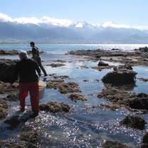 fishing in Christchurch