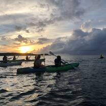 Bioluminescent Kayaking 