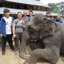 Wildlife Safari at Chitwan