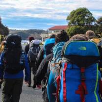 Hiking in Dunedin
