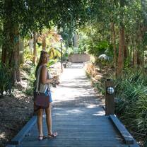 Walking in Wollongong
