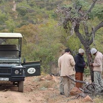 Camera trap surveying