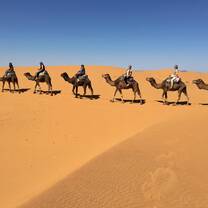 Camel ride