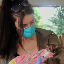 Volunteer with genet