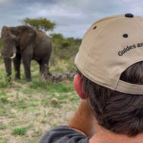 elephant and student