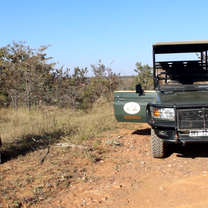 Camera trap deploying 