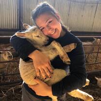 Learn International - Agriculture and Farming internship